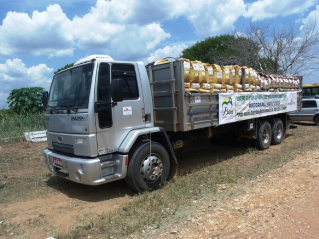 Governo do Estado já entregou cerca de 500 toneladas de sementes no Sul e Centro-Norte do Estado (Foto:Roselandi Sousa)